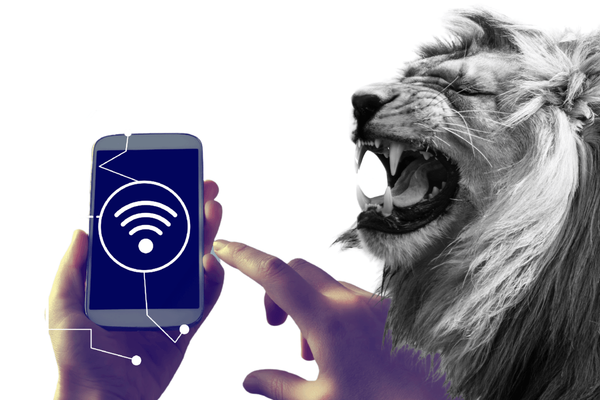 Cómo la tarjeta de visita digital Höhle der Löwen convence a los famosos